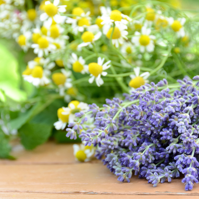 Lavanda & Camomilla