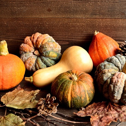 Zucca & Legni dolci